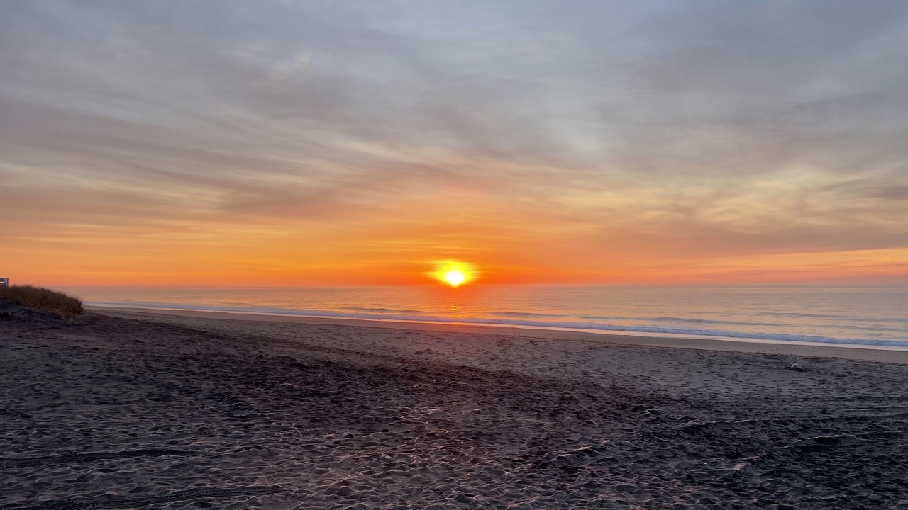 Photo of Others in Charlestown