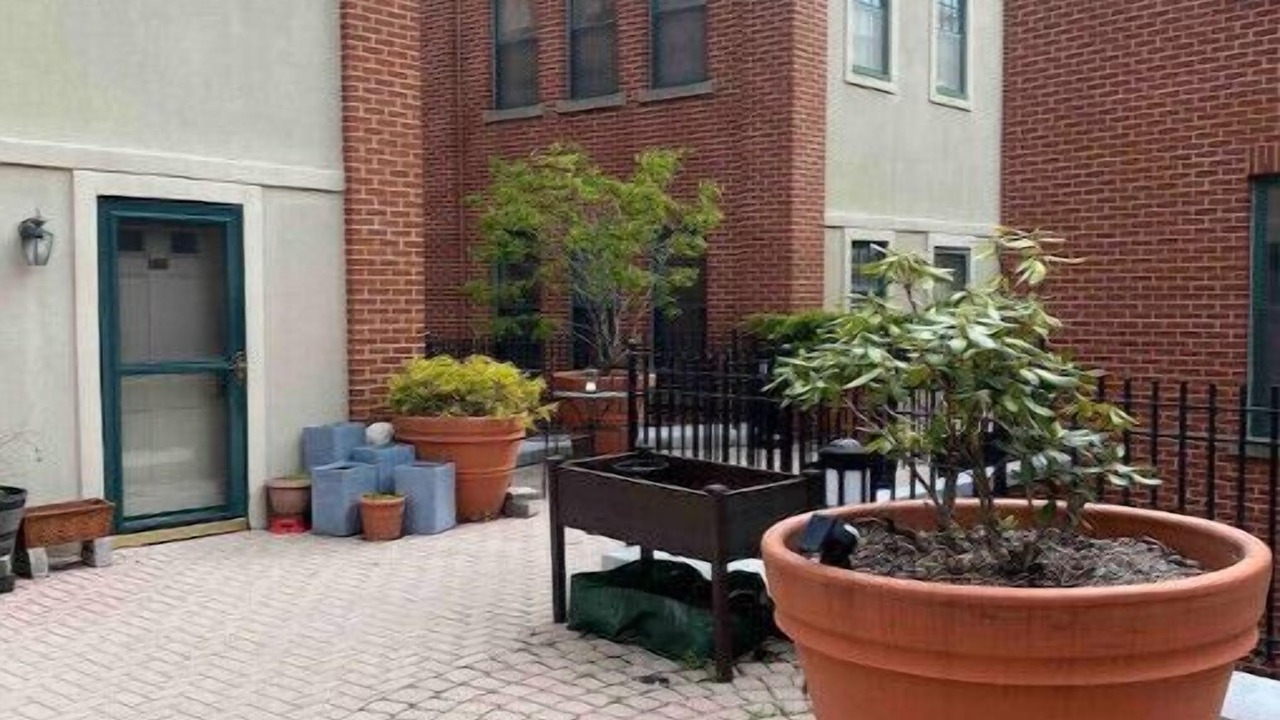 Photo of Outdoor in Downtown Syracuse