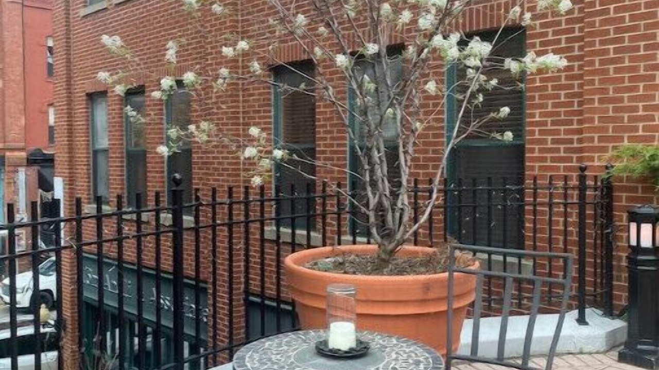 Photo of Outdoor in Downtown Syracuse