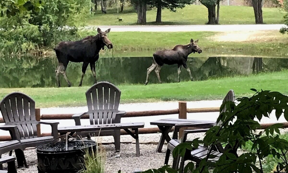 Photo of Outdoor in Idaho Falls