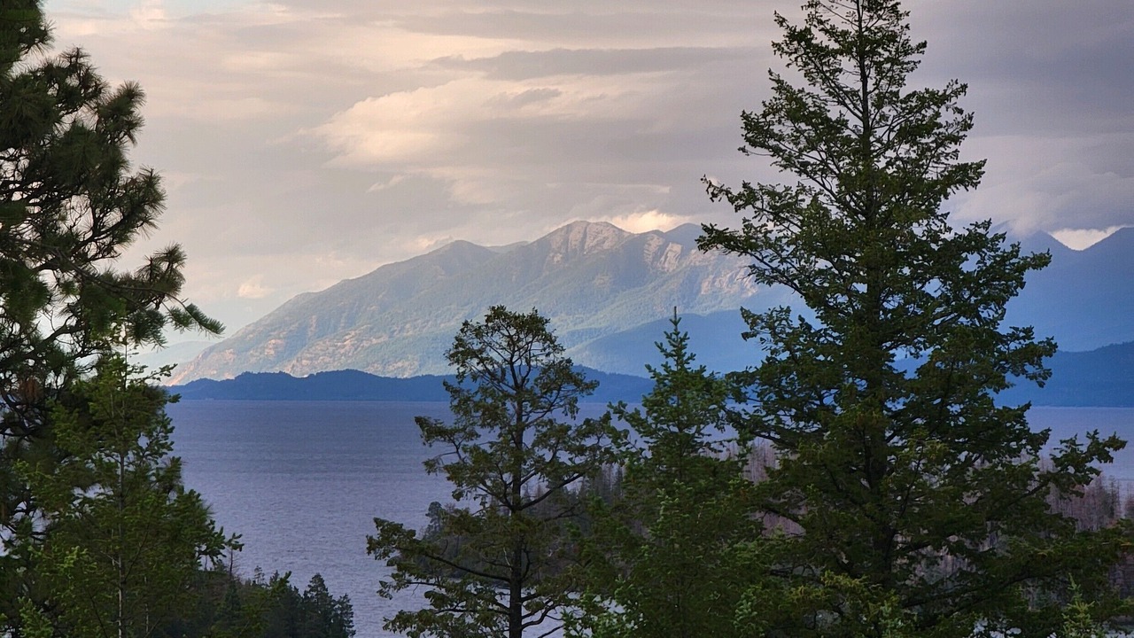 Photo of Others in Finley Point