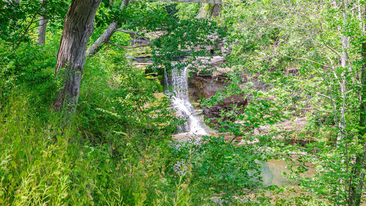 Photo of Outdoor in East Durham