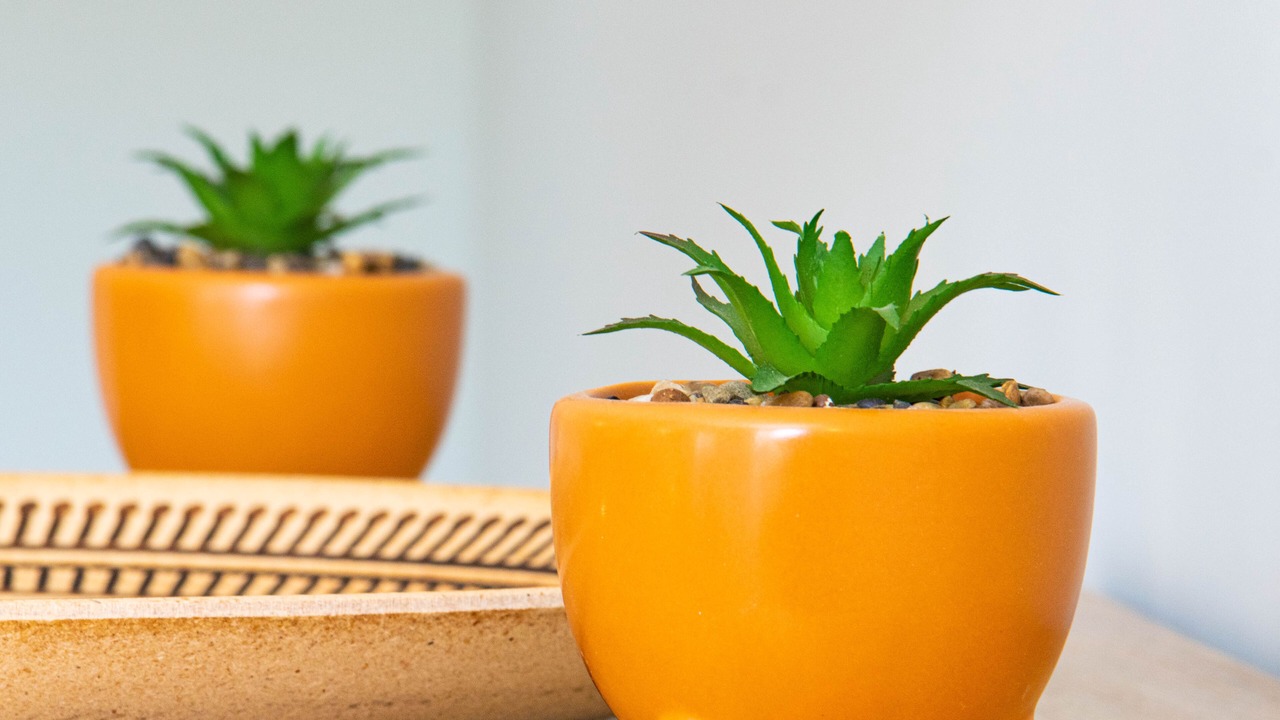 Photo of Others in Saint-Meard-de-Gurcon