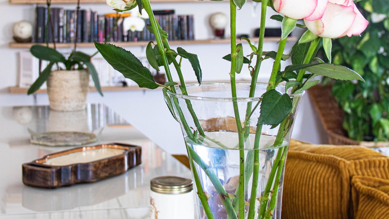 Photo of Others in Saint-Meard-de-Gurcon