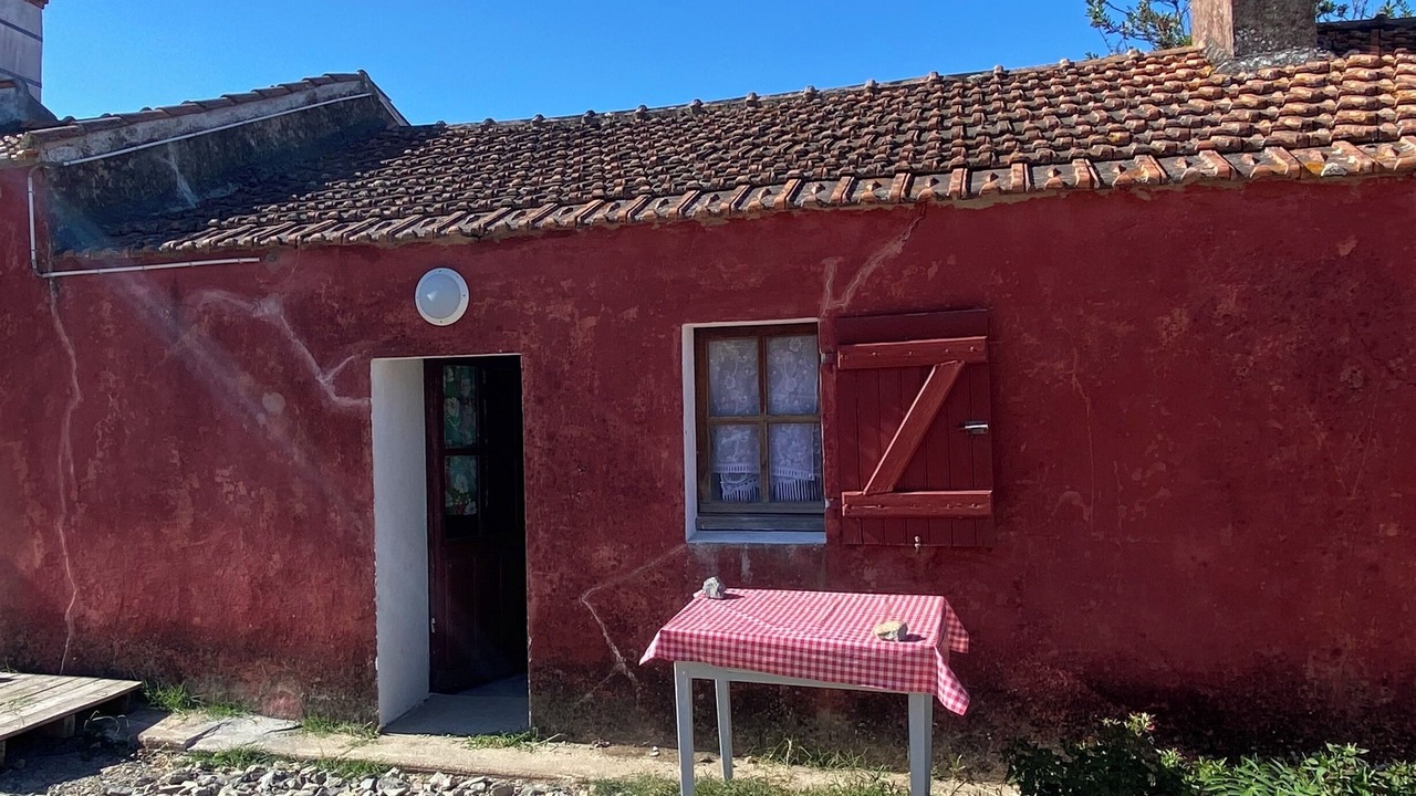 Photo of Outdoor in Barbatre