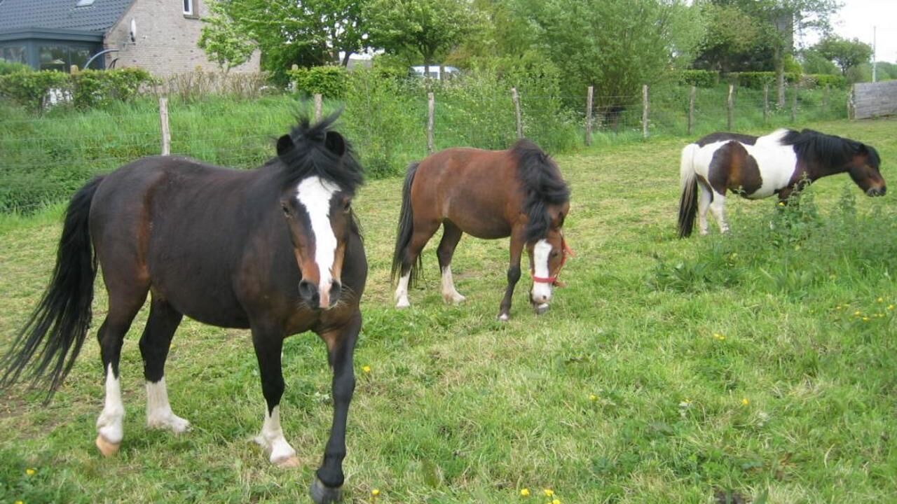 Photo of Others in Ledringhem