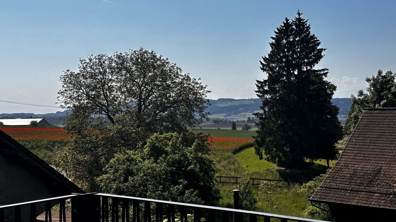 Photo of Patio Balcony in Waldi