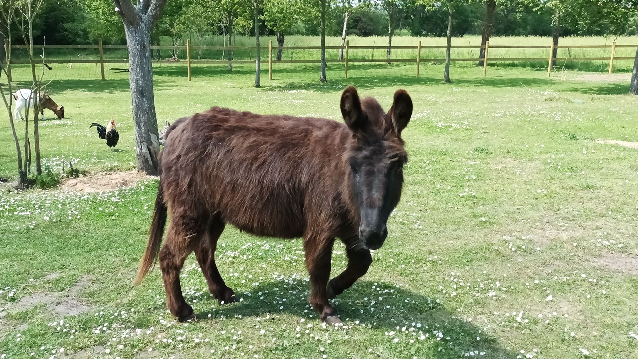 Photo of Outdoor in Saint-Martin-de-Blagny