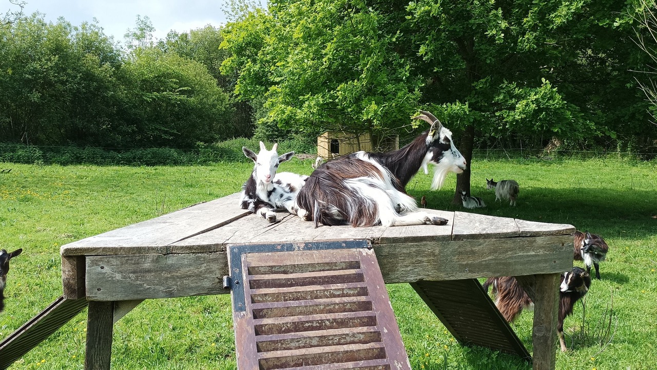 Photo of Outdoor in Saint-Martin-de-Blagny
