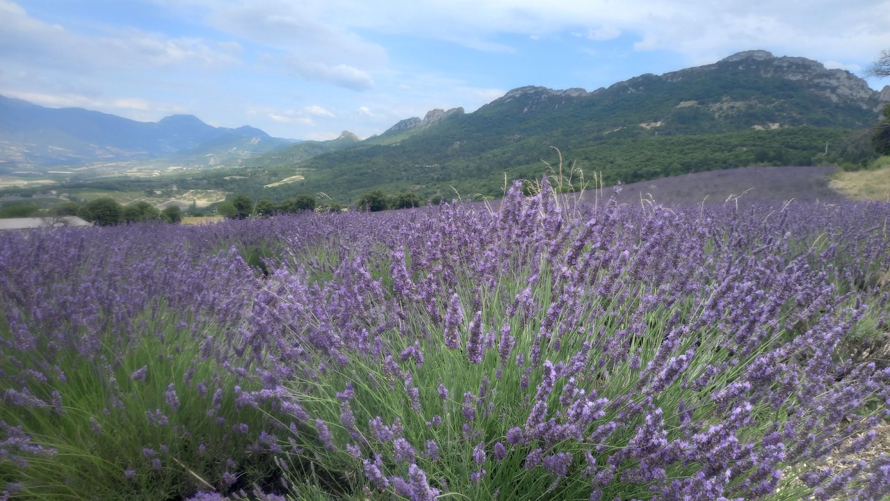 Photo of Outdoor in Aubres