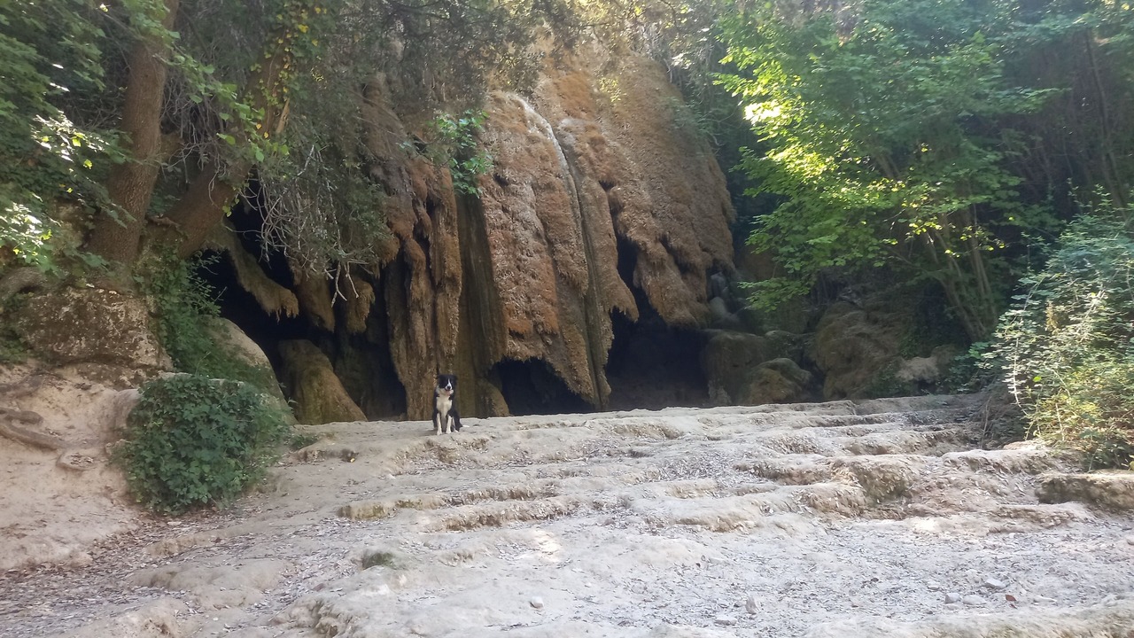 Photo of Outdoor in Aubres