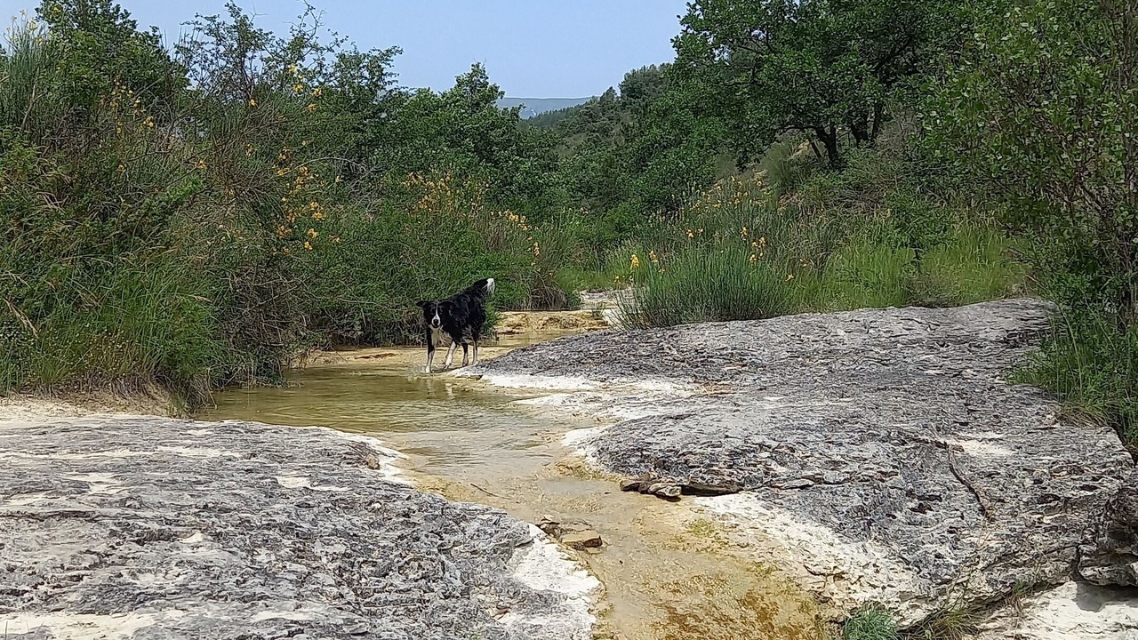 Photo of Others in Aubres