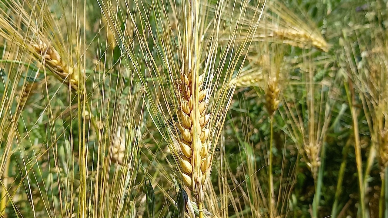 Photo of Others in Aubres