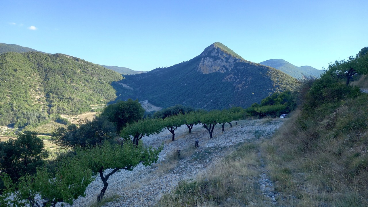 Photo of Outdoor in Aubres