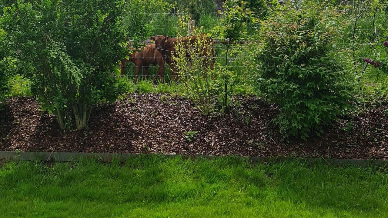 Photo of Outdoor in Kreuzlingen