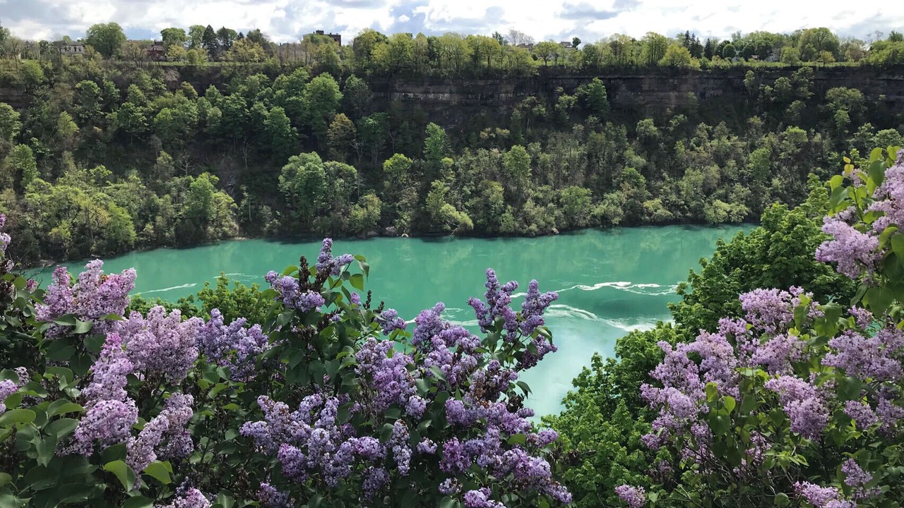 Photo of Others in Niagara Falls