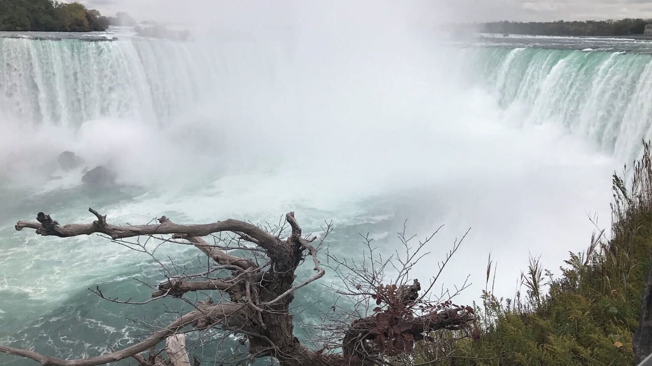 Photo of Others in Niagara Falls