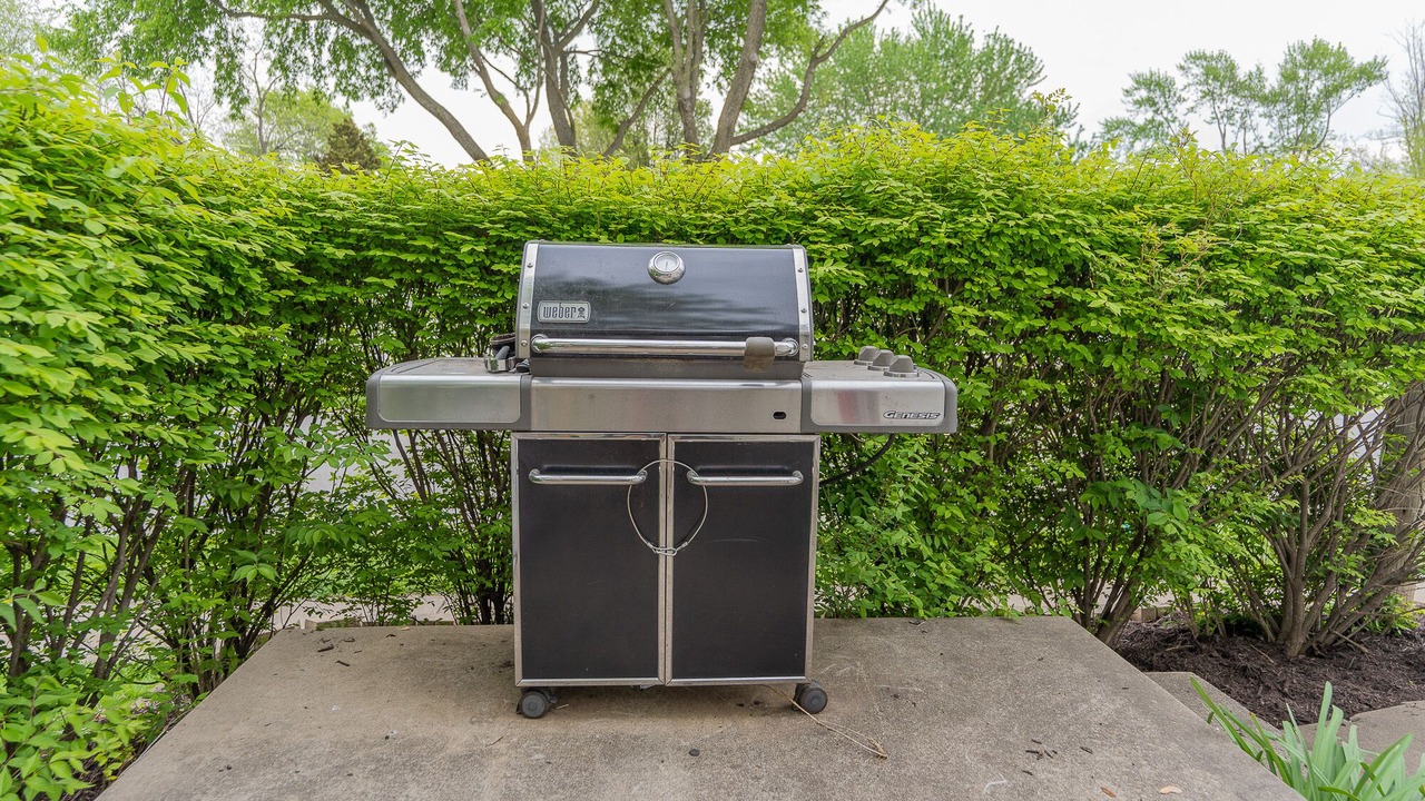 Photo of Outdoor in Lee's Summit