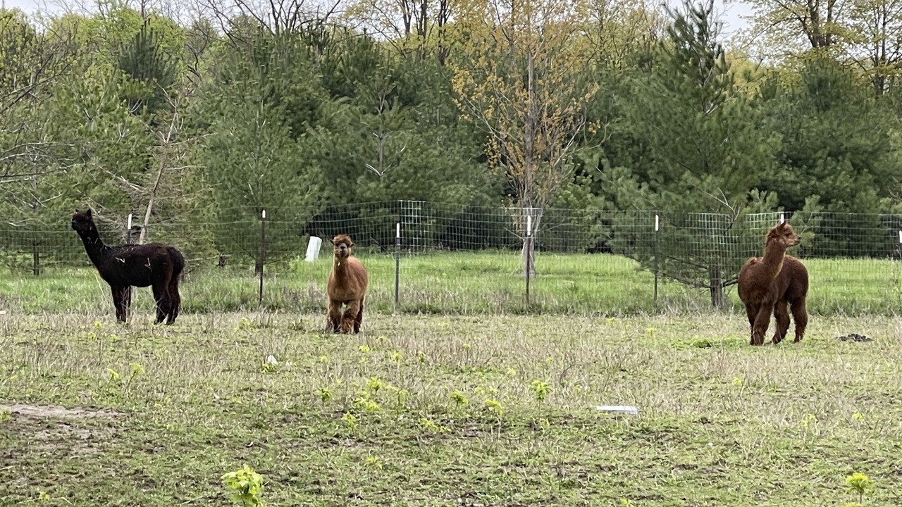 Photo of Others in Trumansburg