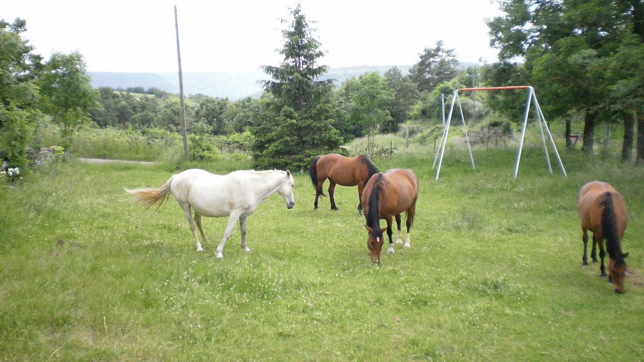 Photo of Outdoor in Mostuejouls