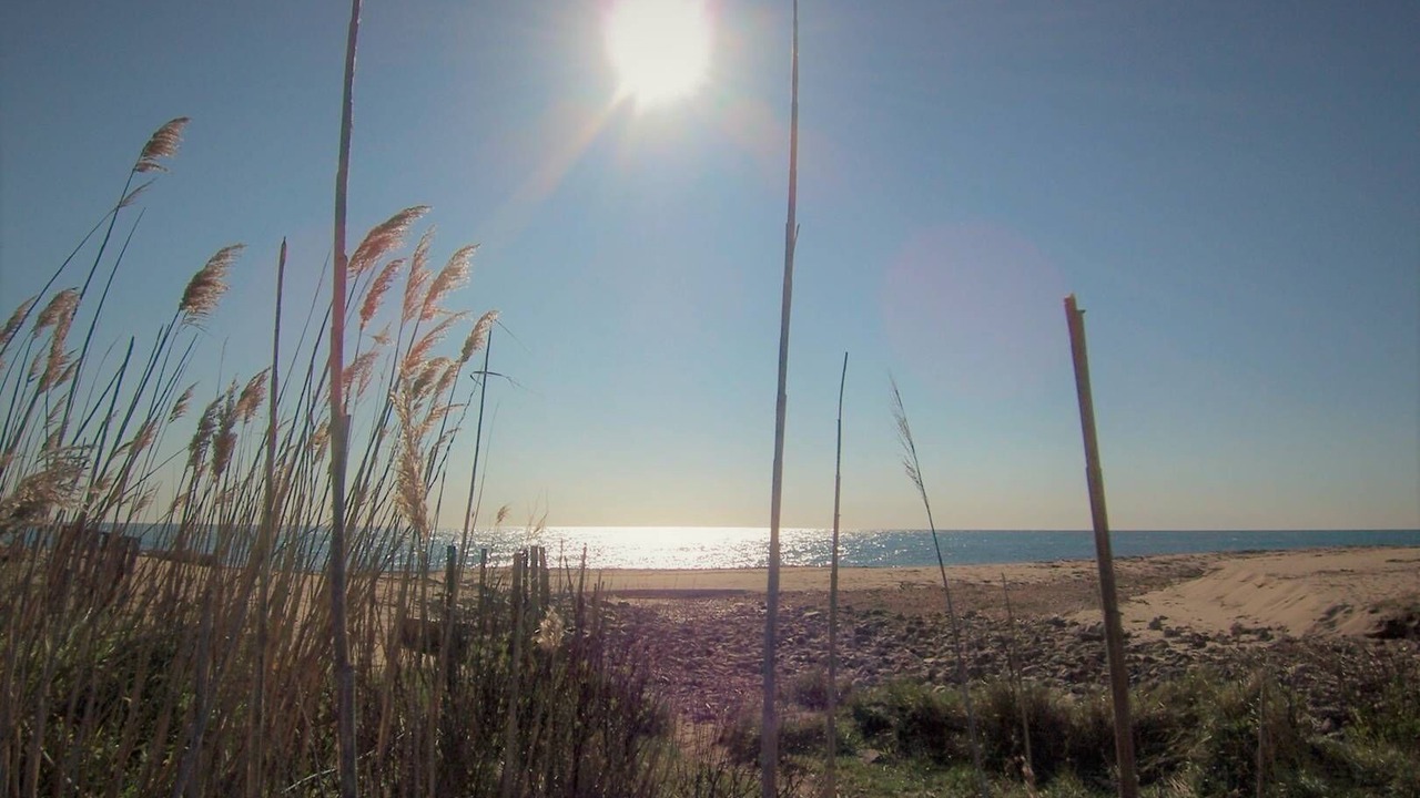 Photo of Others in Solaro