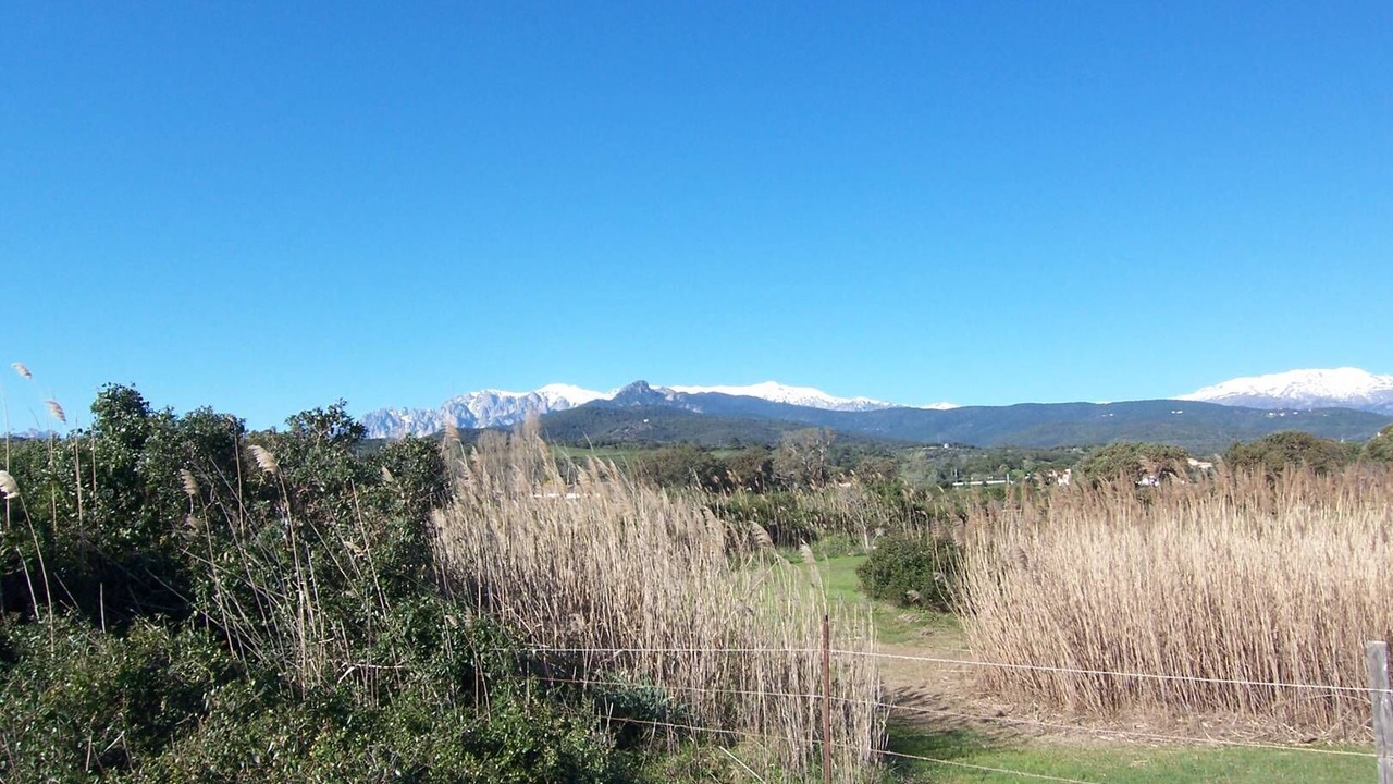 Photo of Outdoor in Solaro