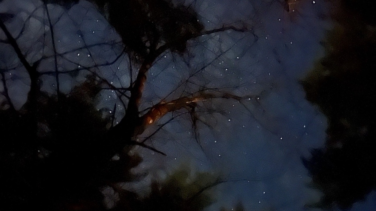 Photo of Others in Waupaca