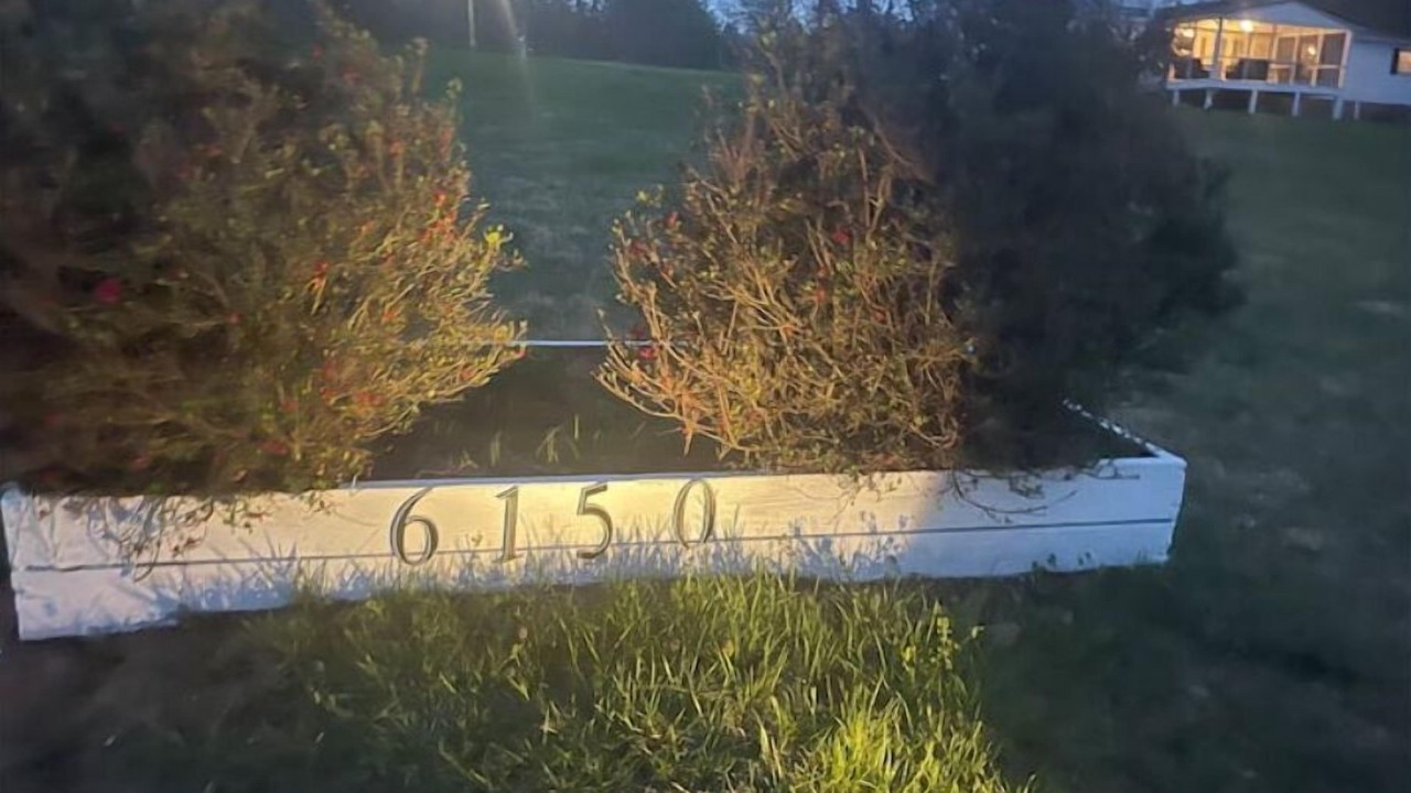 Photo of Outdoor in Goode