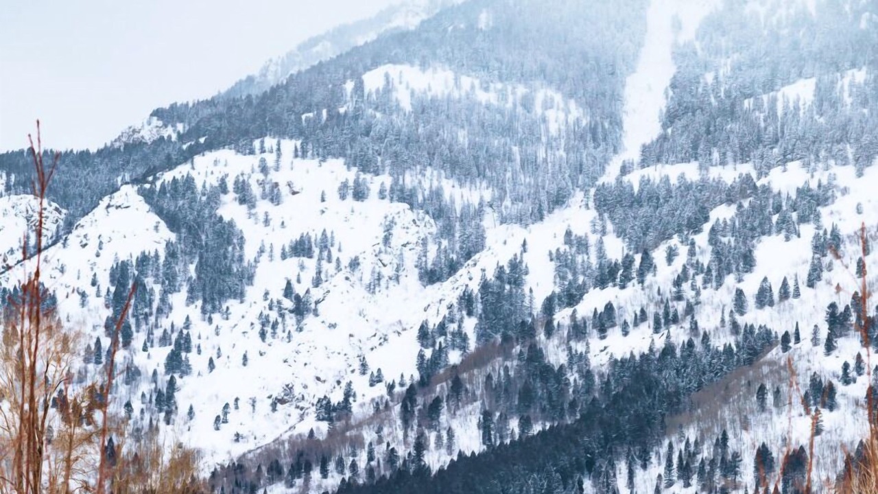 Photo of Outdoor in Teton Village