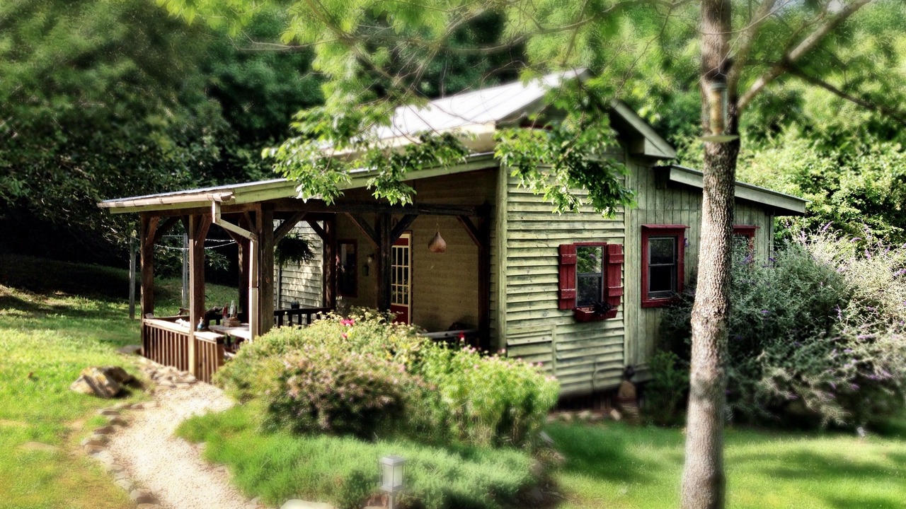 Photo of Outdoor in Tiger