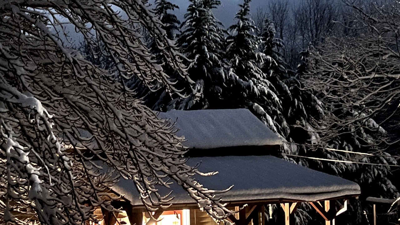 Photo of Outdoor in Tiger