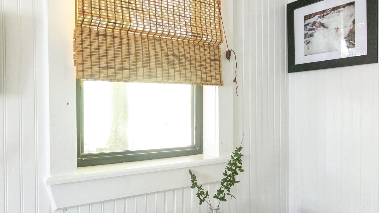 Photo of Others in Tiger