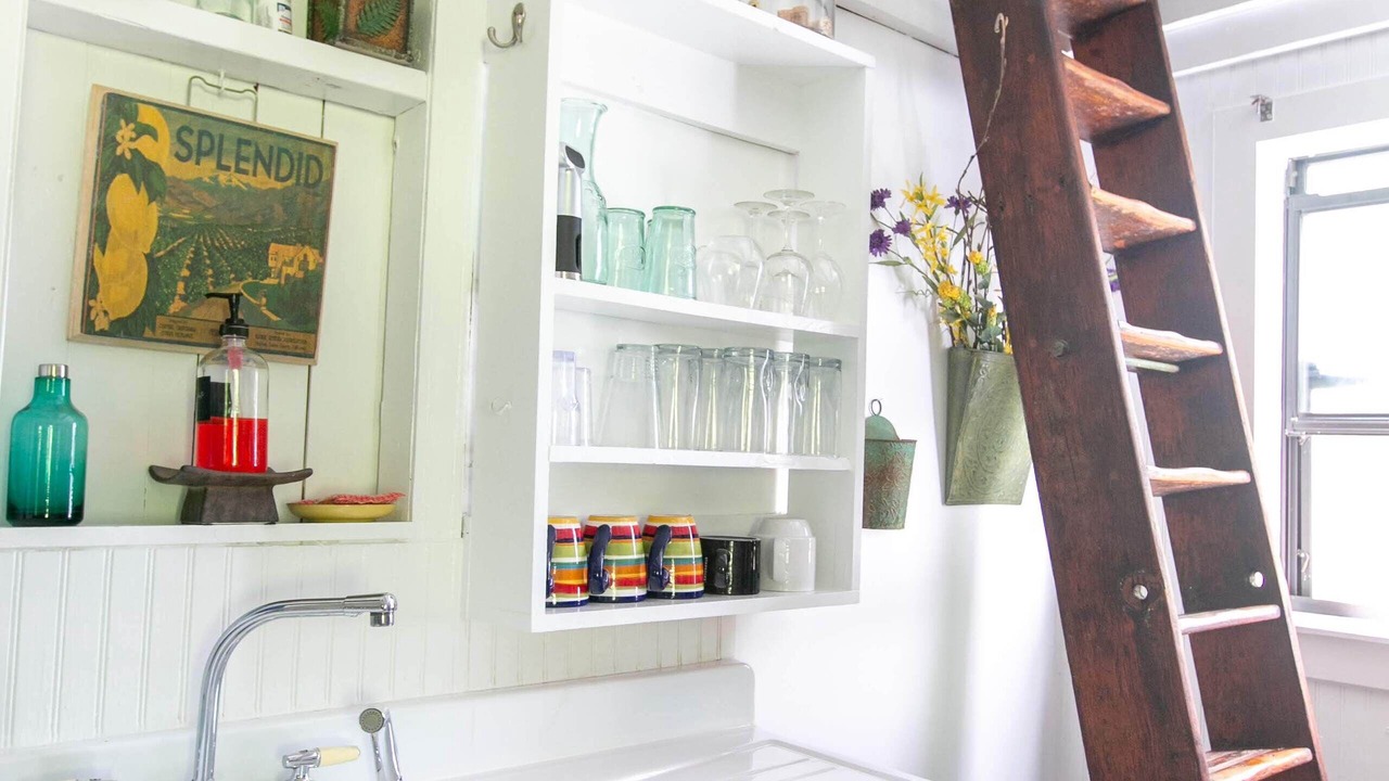 Photo of Others in Tiger