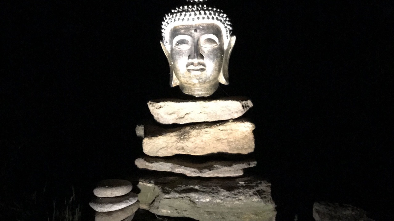 Photo of Others in Tiger