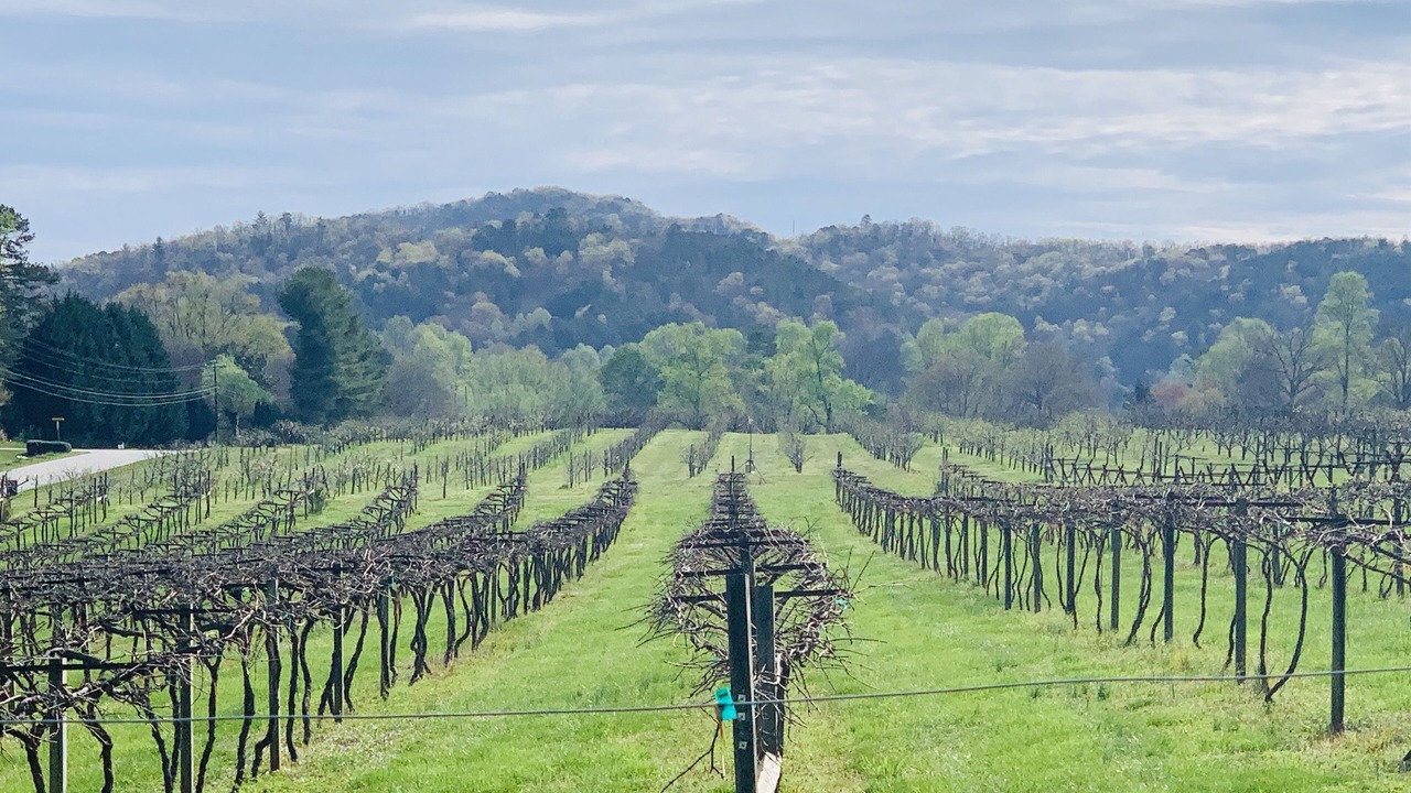 Photo of Outdoor in Tiger