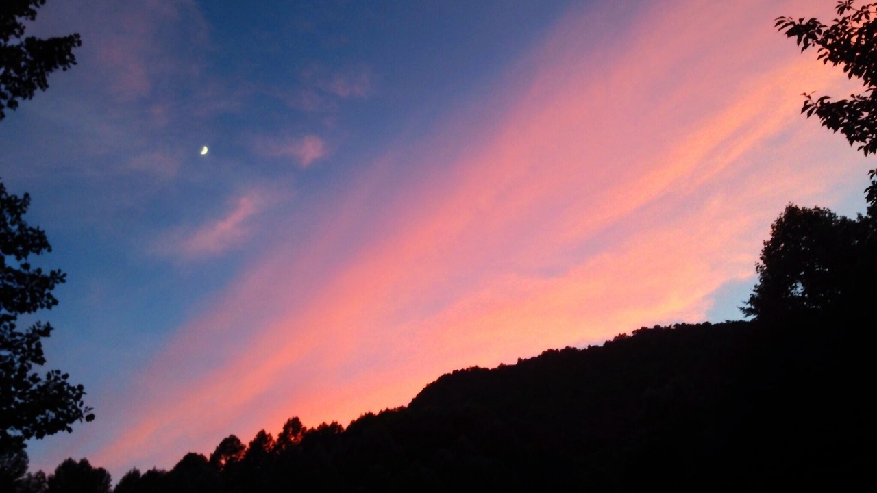 Photo of Outdoor in Tiger