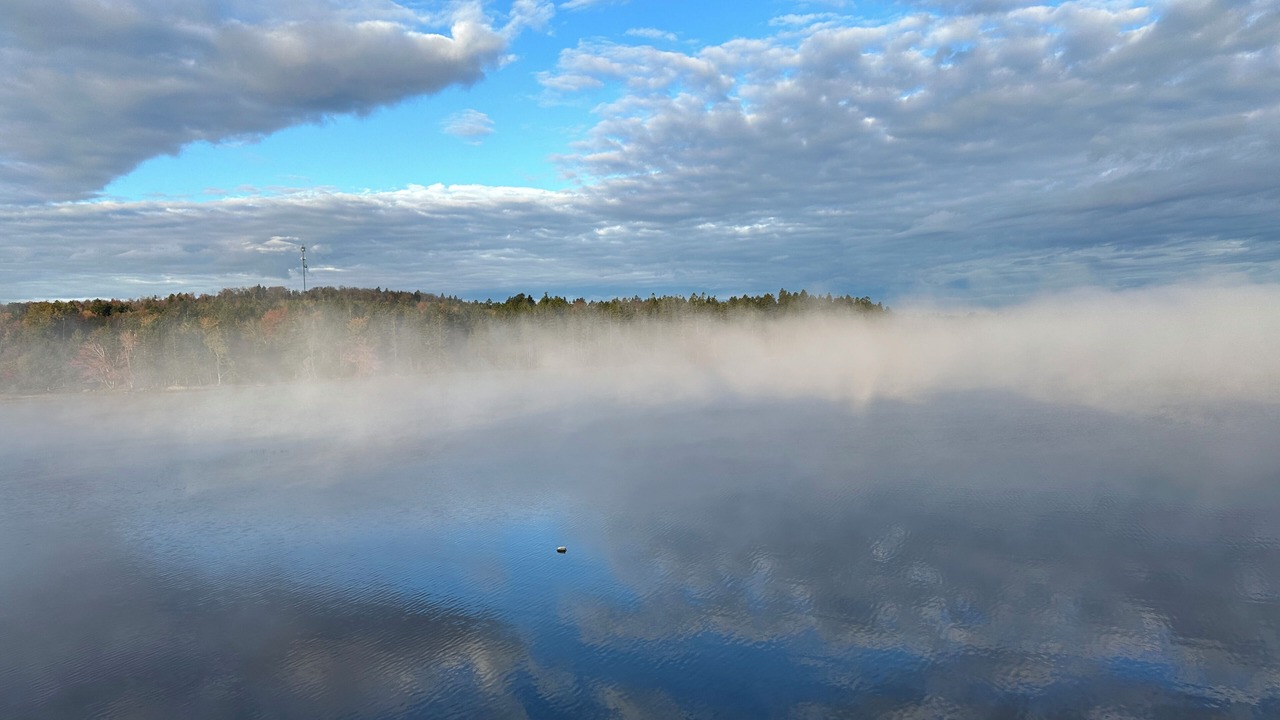 Photo of Others in East Machias