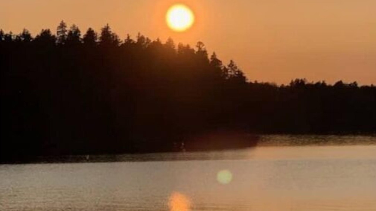 Photo of Others in East Machias
