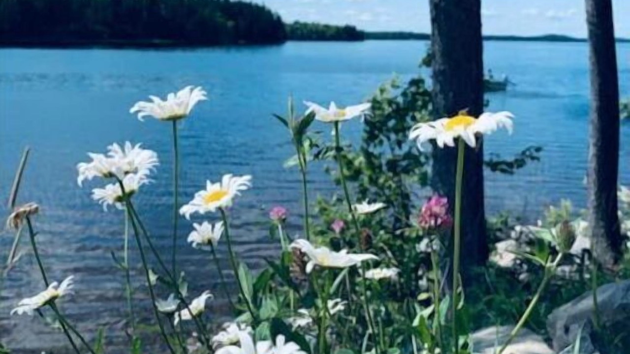 Photo of Outdoor in East Machias