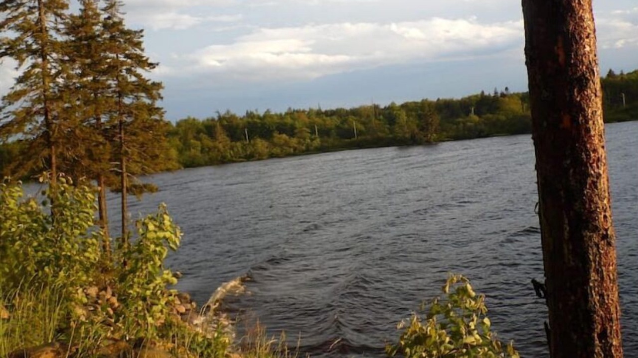 Photo of Others in East Machias