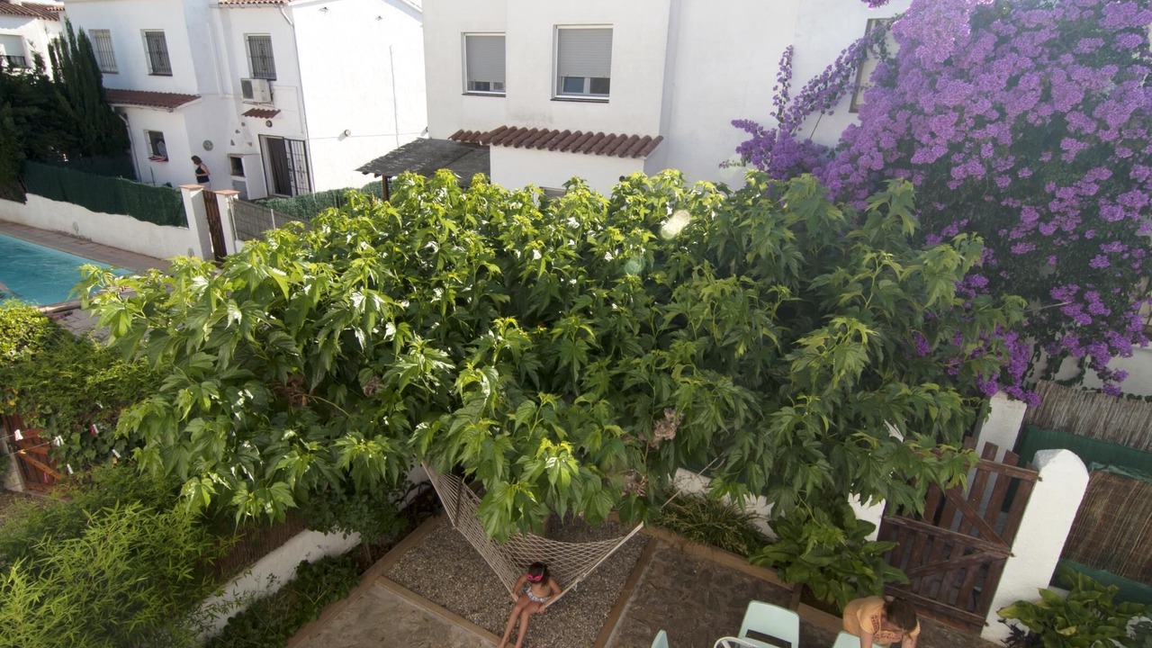 Photo of Outdoor in L'Escala