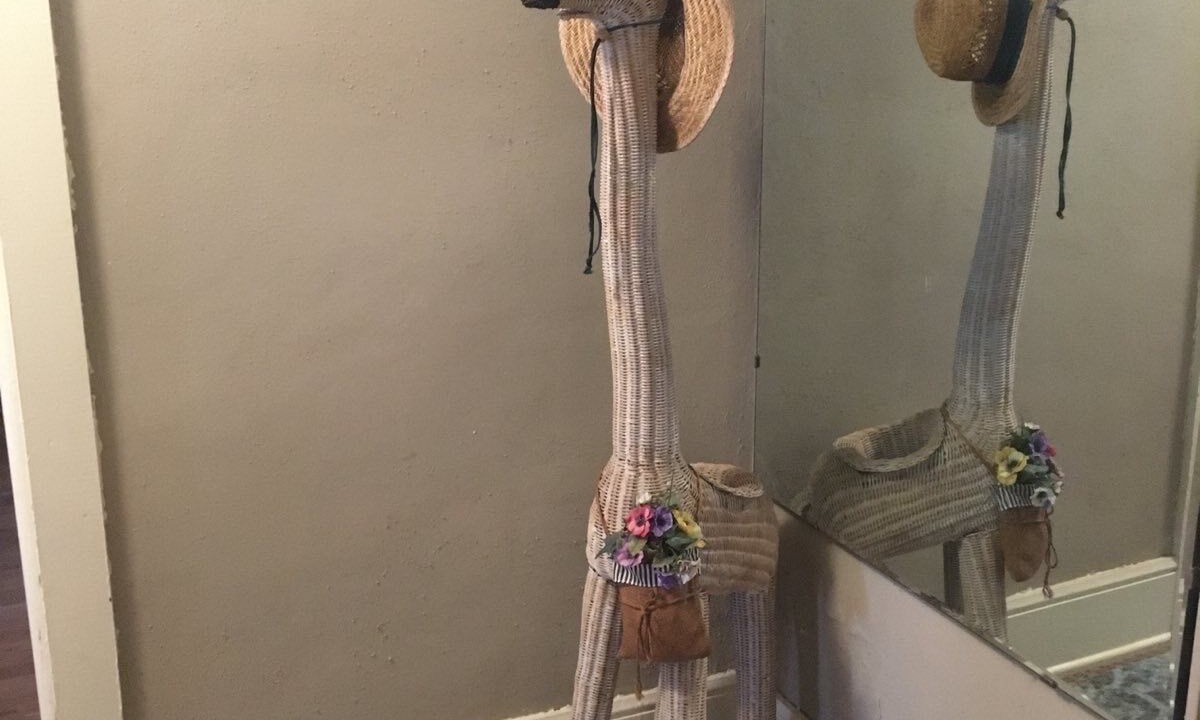 Photo of Others in Toccoa