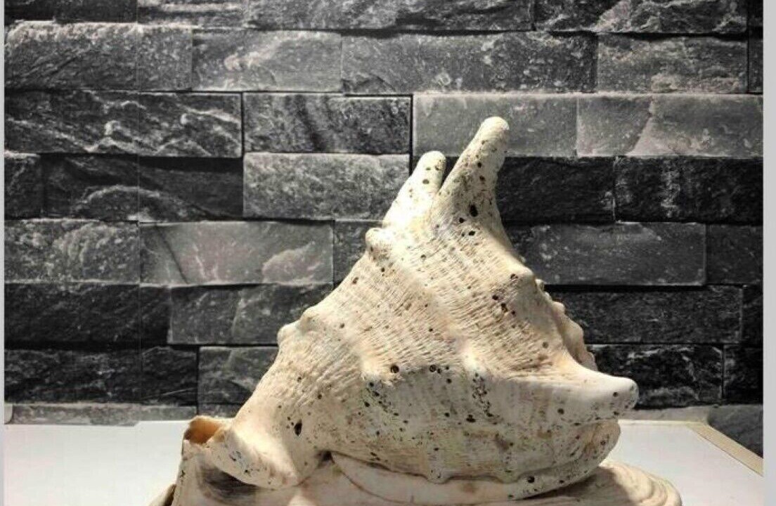 Photo of Others in Crynant