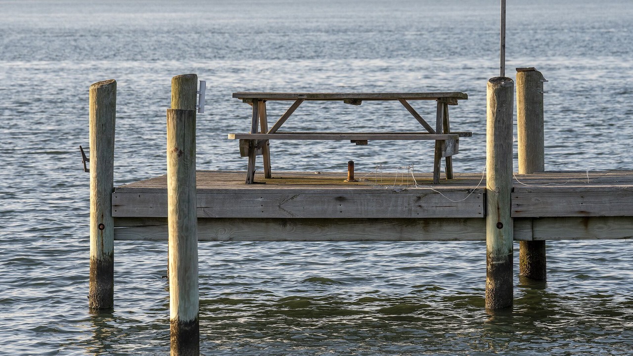 Photo of Others in Chincoteague