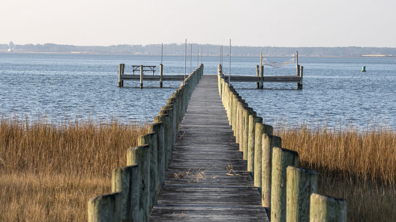 Photo of Others in Chincoteague