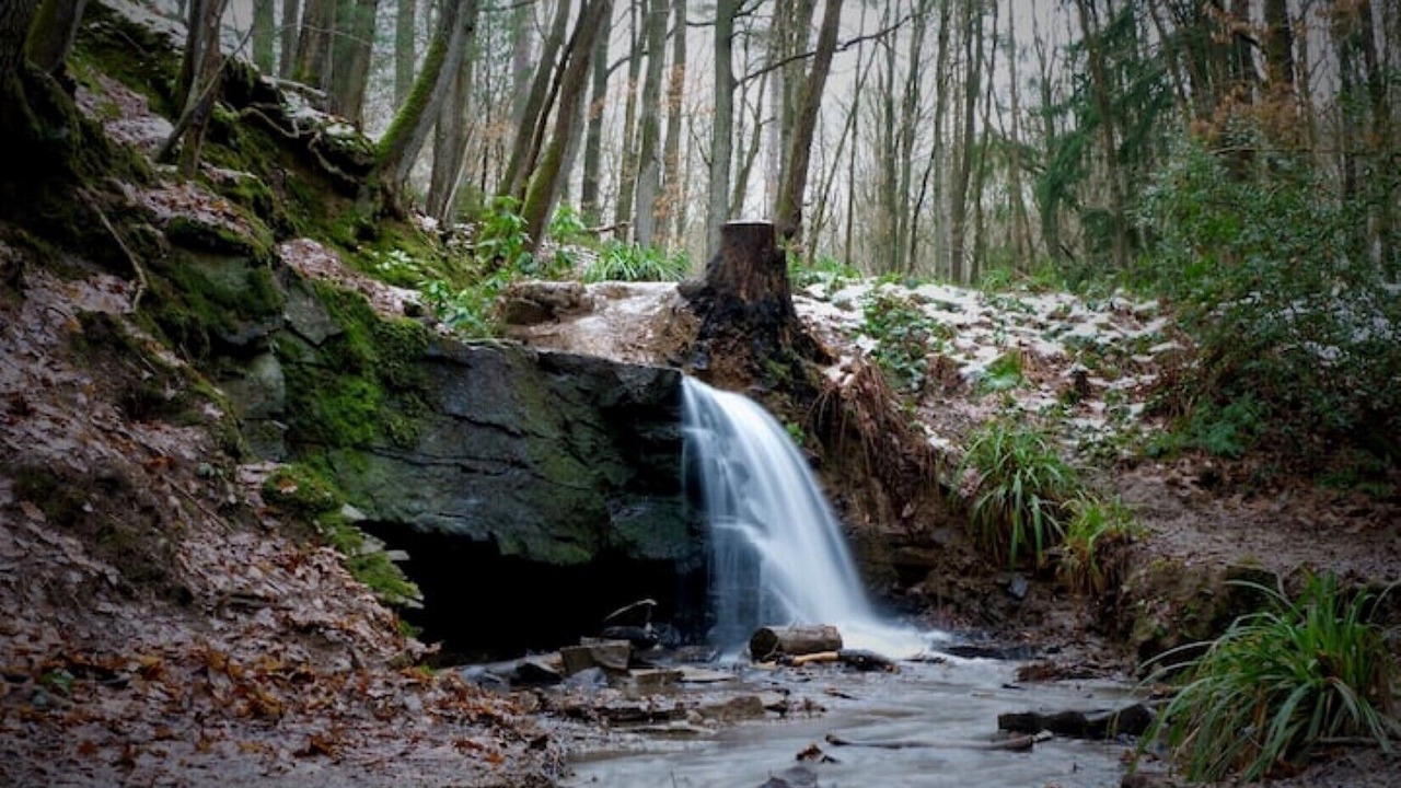 Photo of Outdoor in Ribbesford