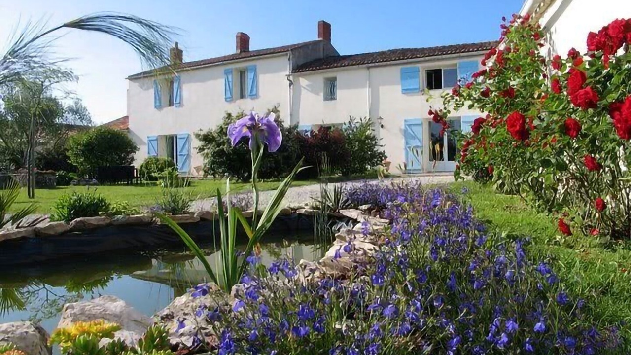 Photo of Outdoor in Chaille-les-Marais