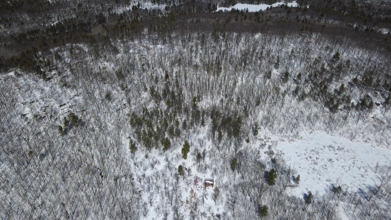Photo of Outdoor in Golden Lake