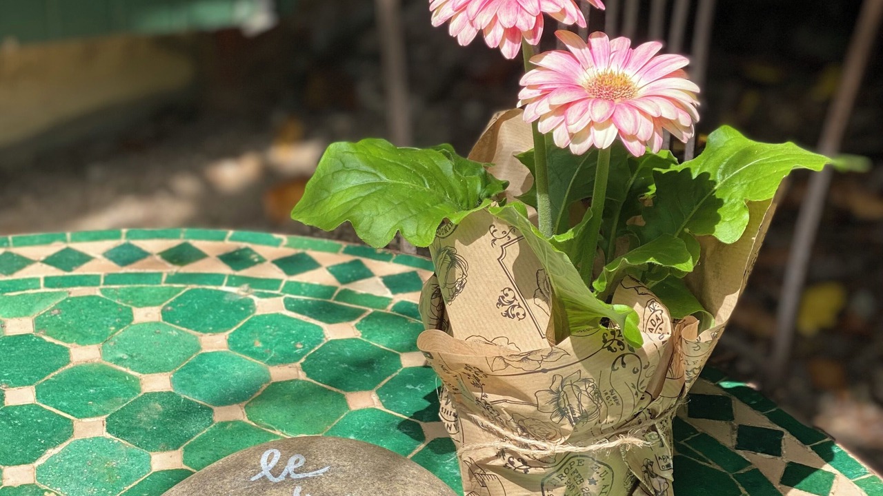 Photo of Outdoor in Gaillac