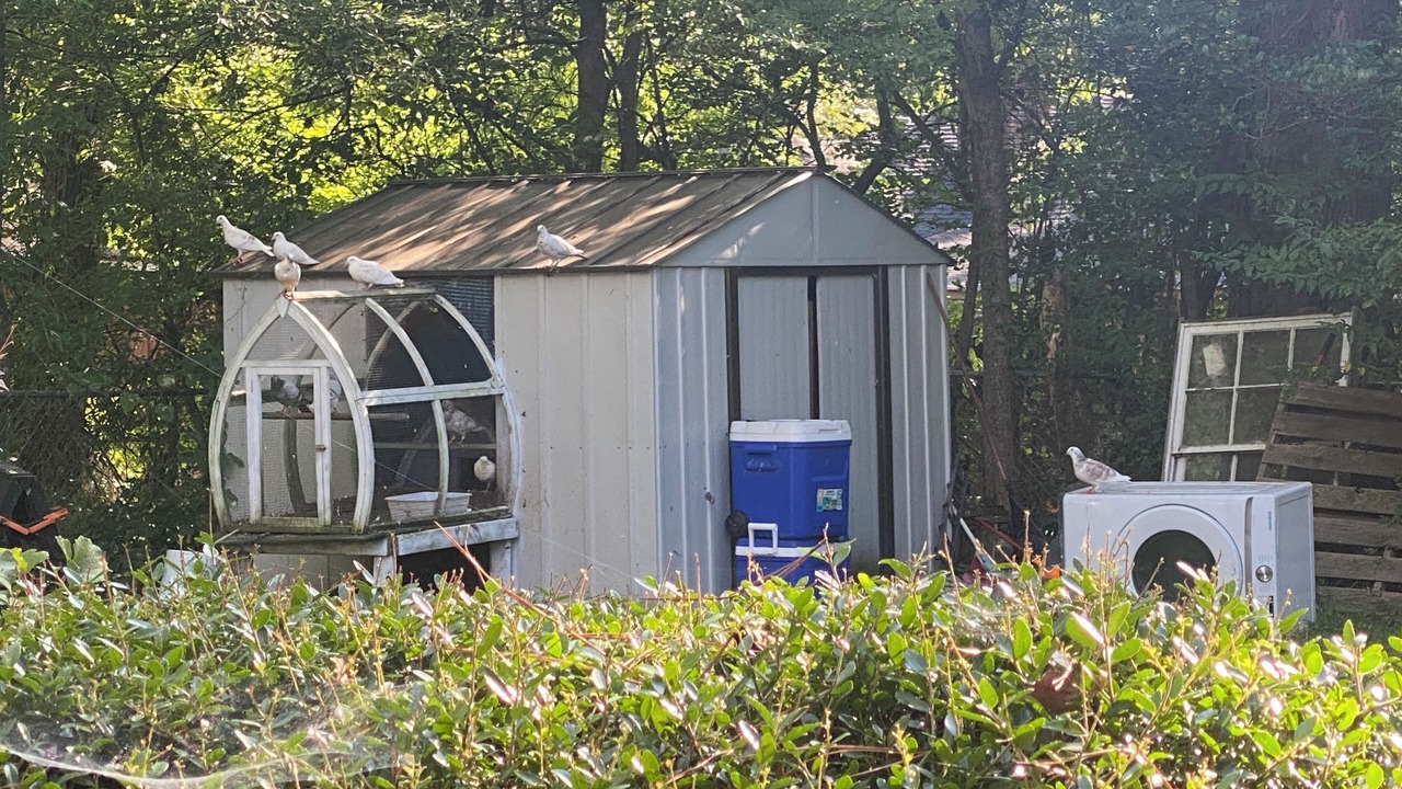 Photo of Outdoor in Tougaloo